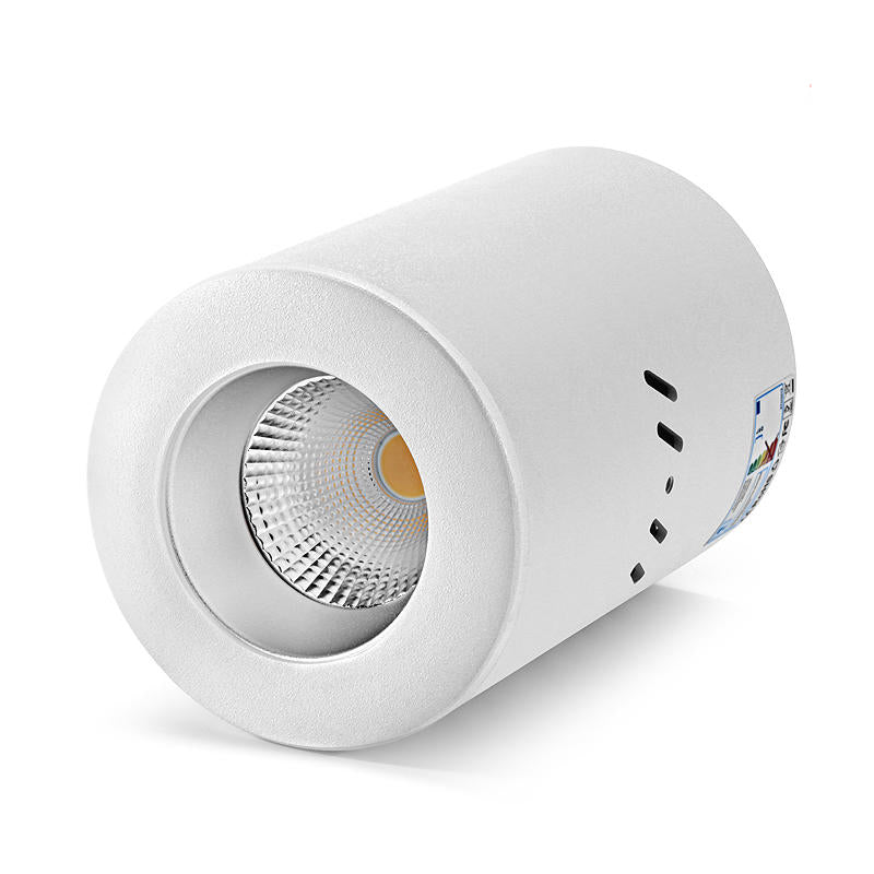 Commercial 30 Watt COB LED surface light, Pendant light Down light Ultra low glare Tri-colour Flicker free White