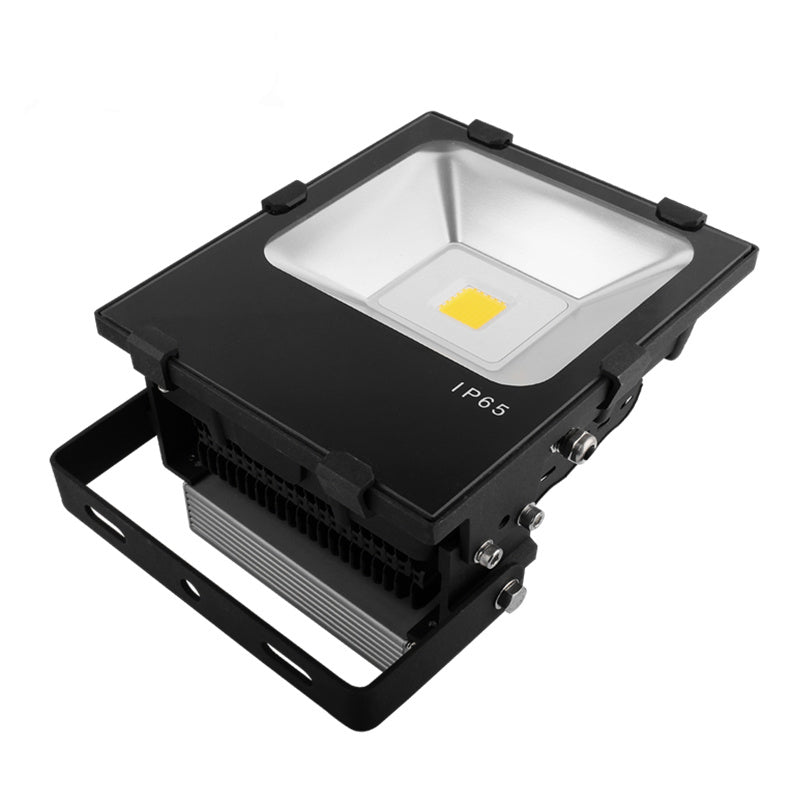 Industrial Flood Light, 50W, 5500 Lumens, SMD, Mean Well Driver, IP65, 4500K, Black