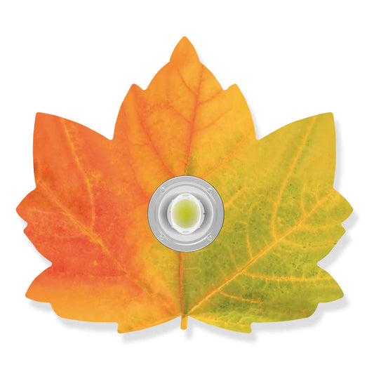 60 Watt, IP65, COB street light, special order. made in Taiwan-Exclusive