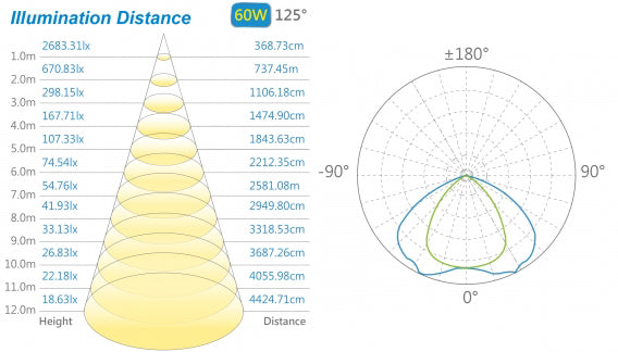 Street Light, 60W,COB LED, 4500K, 6600 Lumens, IP65