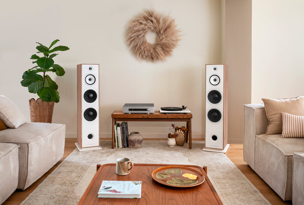 Triangle Borea BR10 Floorstanding Speakers (Pair)