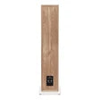 Triangle Borea BR08 Floor Standing Speakers