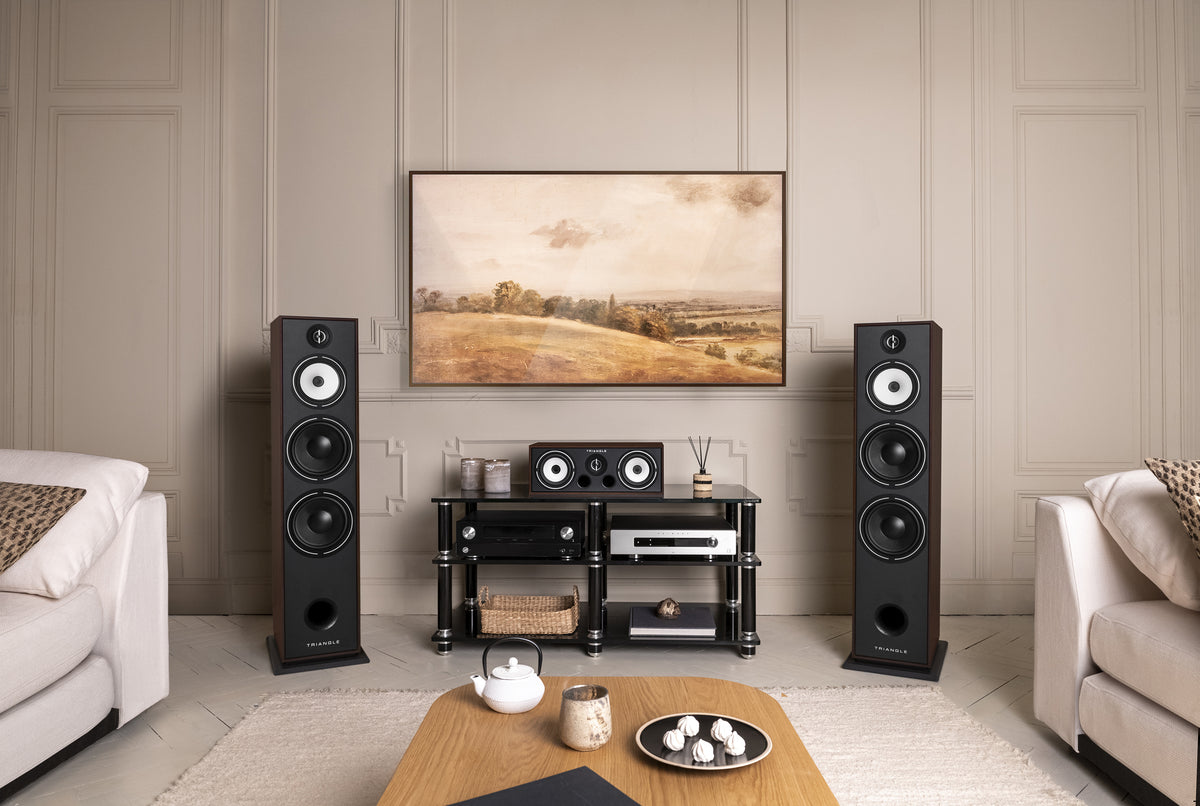 Triangle Borea BR10 Floorstanding Speakers (Pair)