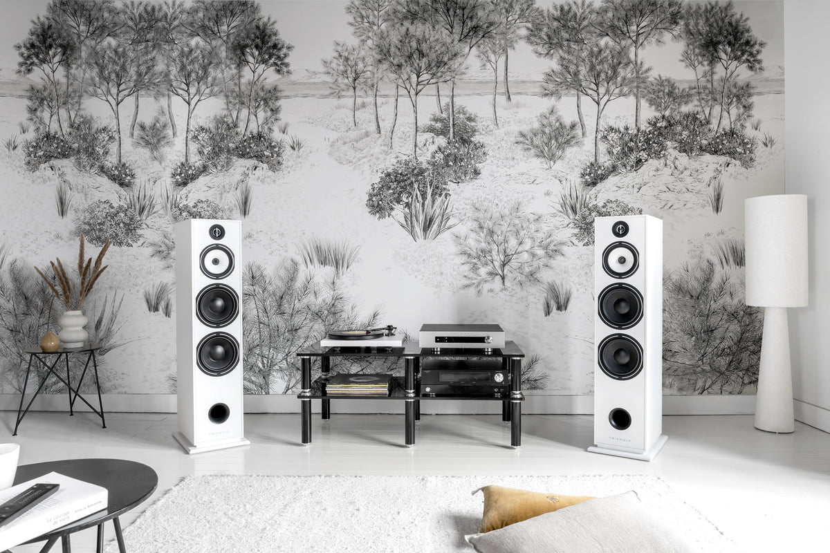 Triangle Borea BR10 Floorstanding Speakers (Pair)