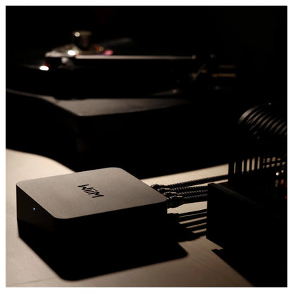 Wiim Pro Plus Streamer