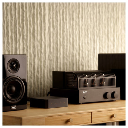 Wiim Pro Plus Streamer